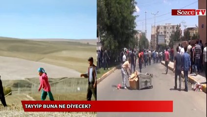 Tayyip buna ne diyecek