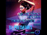 Electro House Essentials 2014  ( Vol. 6 ) - DJ PREDATORS