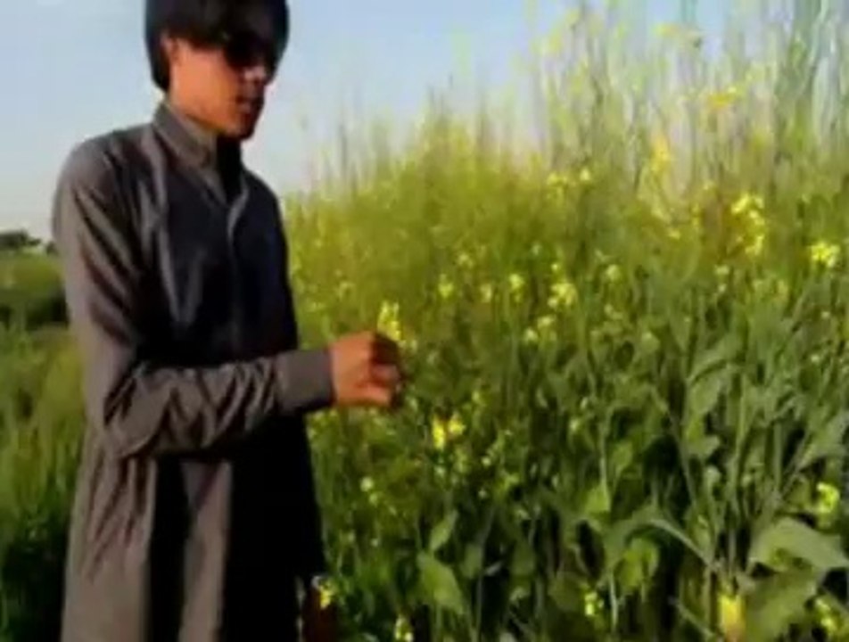 abdul khalique sarki by ettiter ghulam rasool sarki video