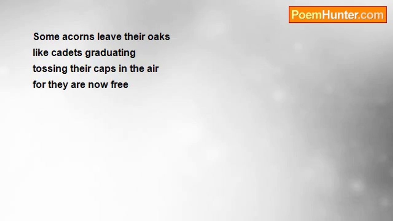 Saiom Shriver - Acorn Fall