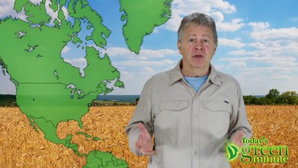 Clean-Up Crew On The Half-Shell!