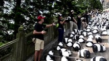 Hong Kong: une armée de milliers de pandas débarque