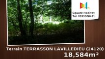A vendre - Terrain - TERRASSON LAVILLEDIEU (24120) - 9 292m²