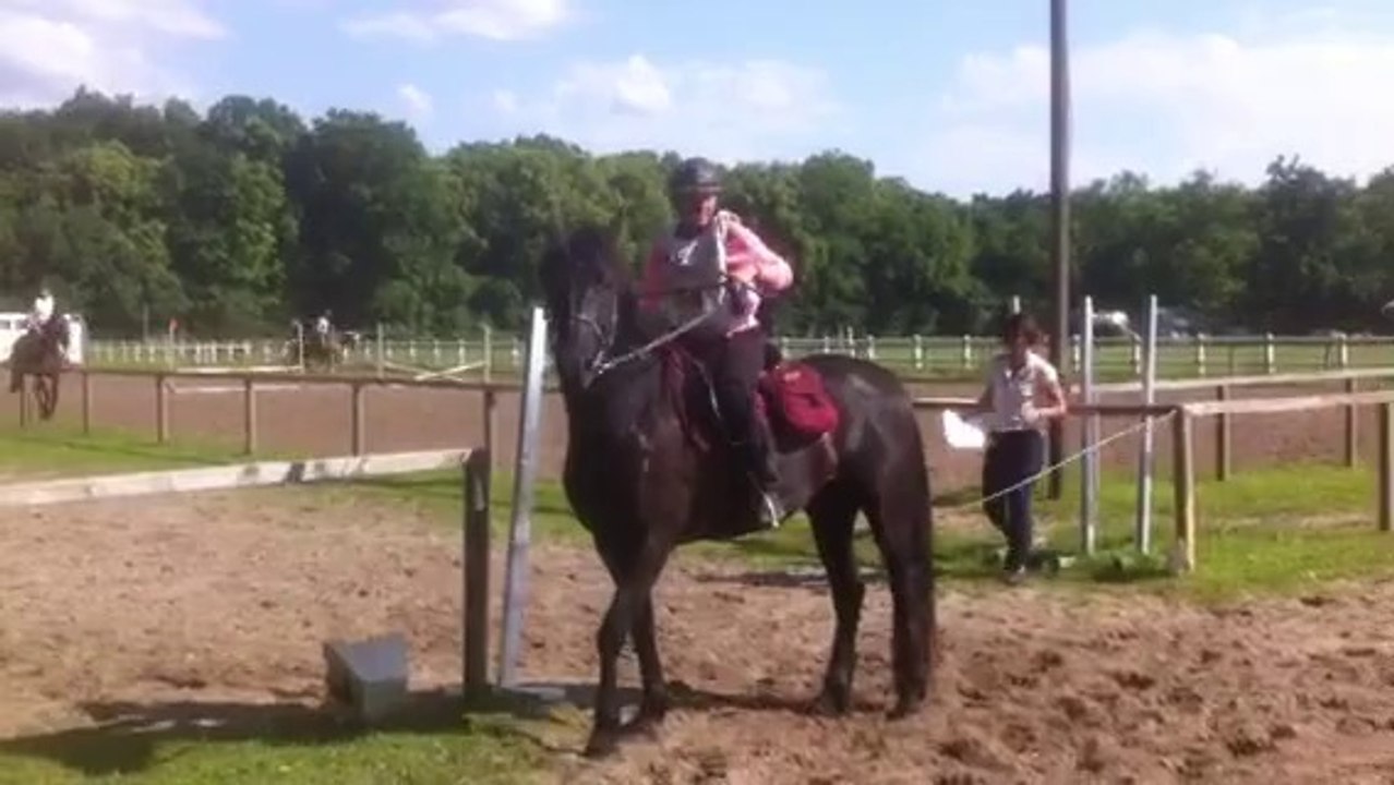 trec gvx 2