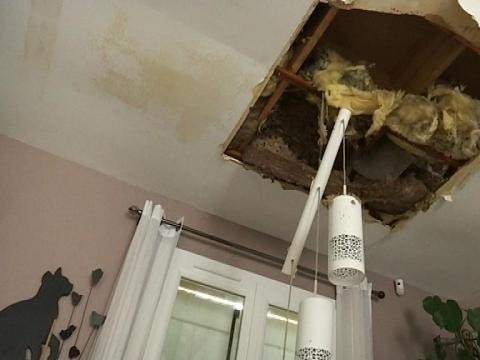 Orages: la commune de Mormant n'a pas échappé aux intempéries - 10/06