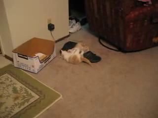 ☏바카라돈따는법▥↘▨▷ ＹＡＭ ７７７.℃OM ◀▧▷바카라돈따는법바카라돈따는법바카라돈따는법바카라돈따는법바카라돈따는법바카라돈따는법바카라돈따는법바카라돈따는법