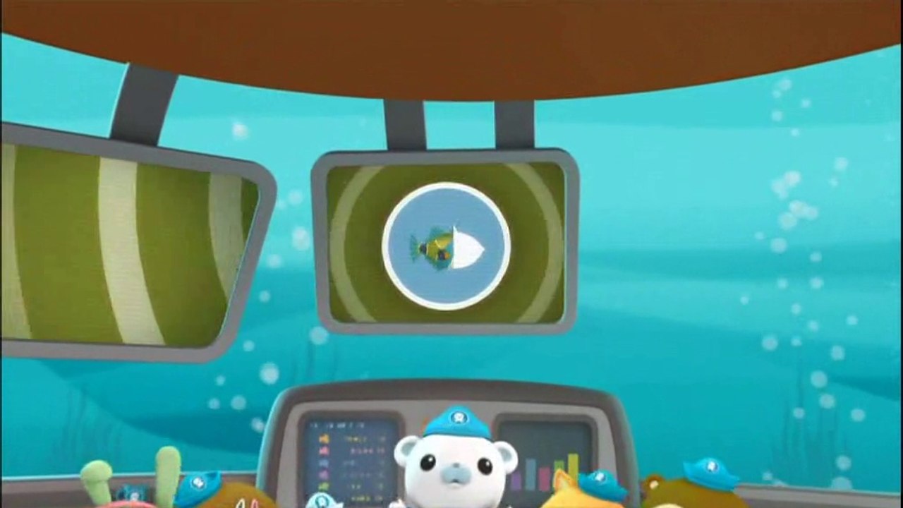 Octonauts Creature Report Ep 49 The Humuhumunukunukuapua'a – Видео ...