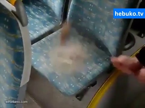 bizim toplu taşıma araçlarında denemek lazım - bence bundan farklı değildir