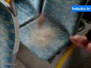 bizim toplu taşıma araçlarında denemek lazım - bence bundan farklı değildir