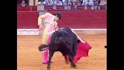 Talavante oreja en Zaragoza