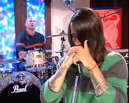 Red Hot Chili Peppers - AOL Music Sessions (2006)