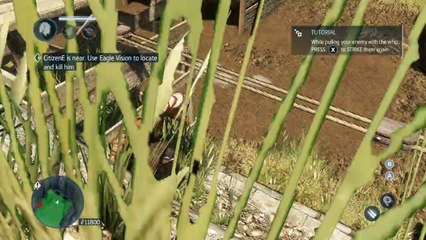 Assassin's Creed Liberation HD [PC] - bug