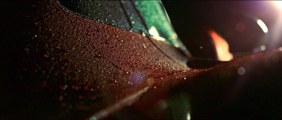 Race Glaze Car Care McLaren P1