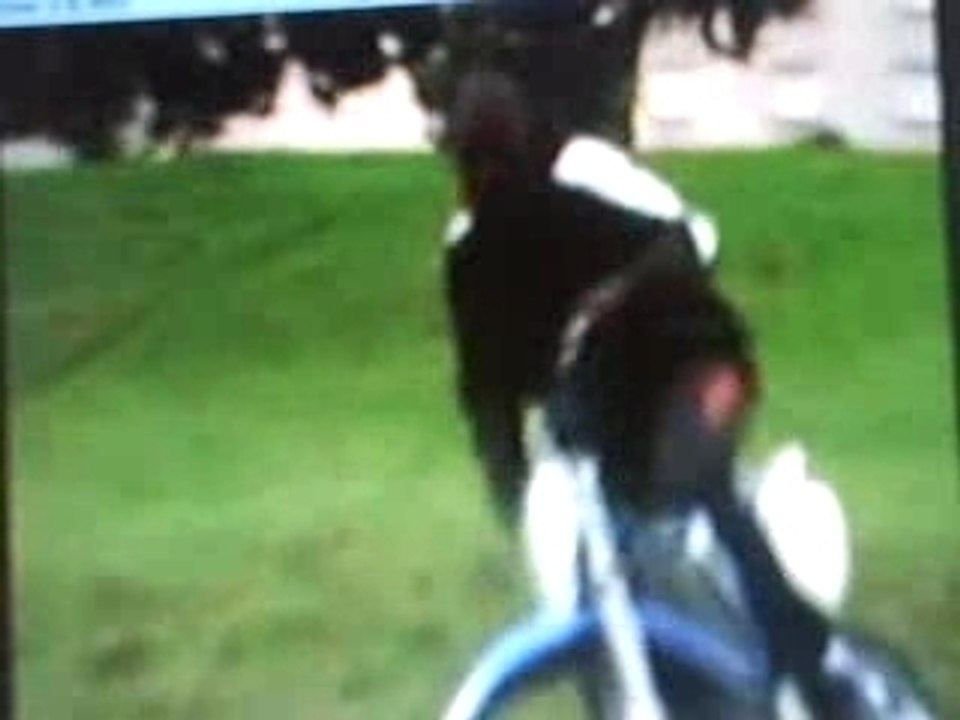 Courti nostra intouchable