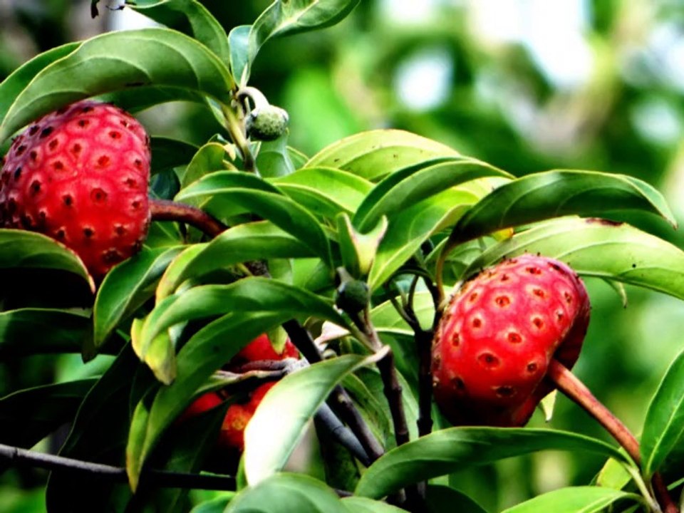 2014-04-27 - On The Road To Auckland