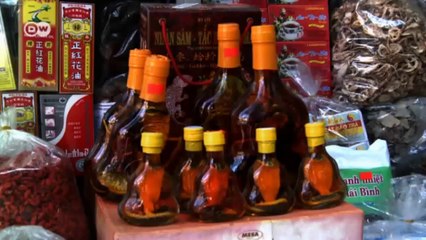 Curbing the soaring demand for rare animals | Global 3000