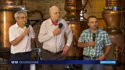 Direct 12/13 à Fougerolles 150 ans de cerises