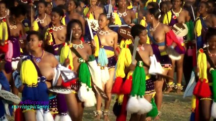 Reed Dance Ceremony   _(proj.9)