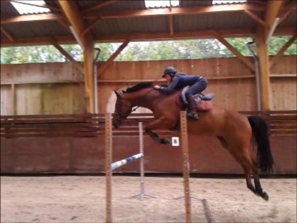 ALZA MOUCHE, 2010 PAR OLYMPIC DE SAVIGNY