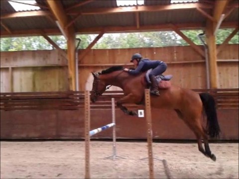 ALZA MOUCHE, 2010 PAR OLYMPIC DE SAVIGNY