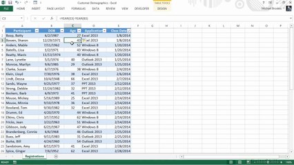 Microsoft Excel Analyzing Demographics