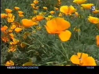 Harada land art 2005