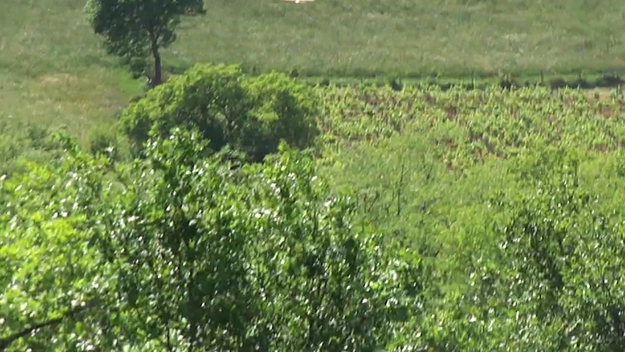 Macon VDP 2014 julben et jedi au trou