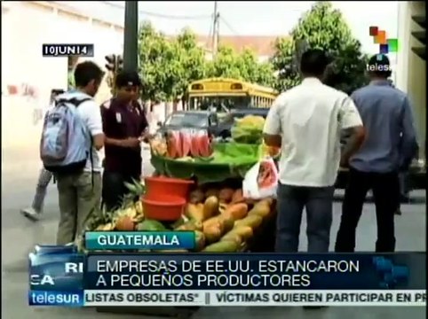 TLC entre Guatemala y EEUU solo ha perjudicado a pequeños productores
