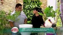 Lorena y Nicolasa: ¿cómo cultivar árboles frutales en casa? (1/2)