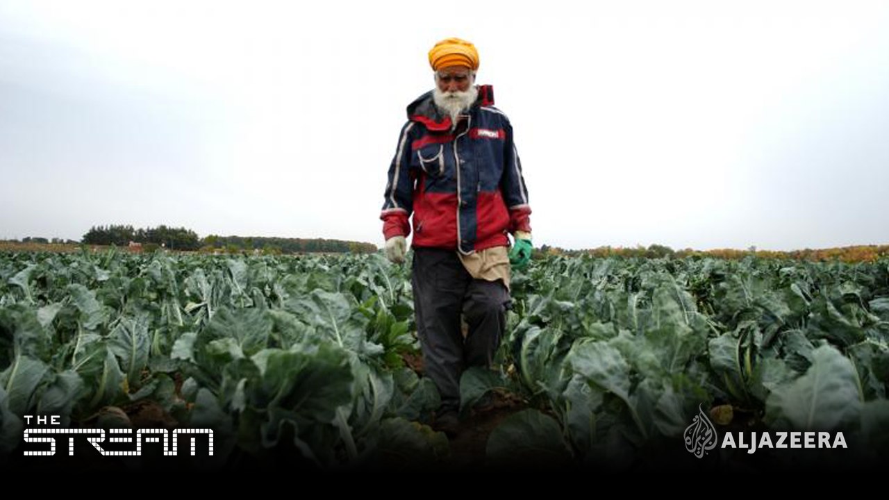Reforming Canada's foreign worker programme - Highlight