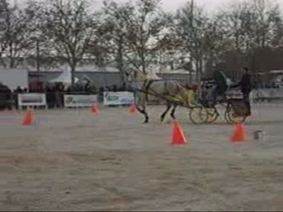 Montage vidéo cheval passion 2007