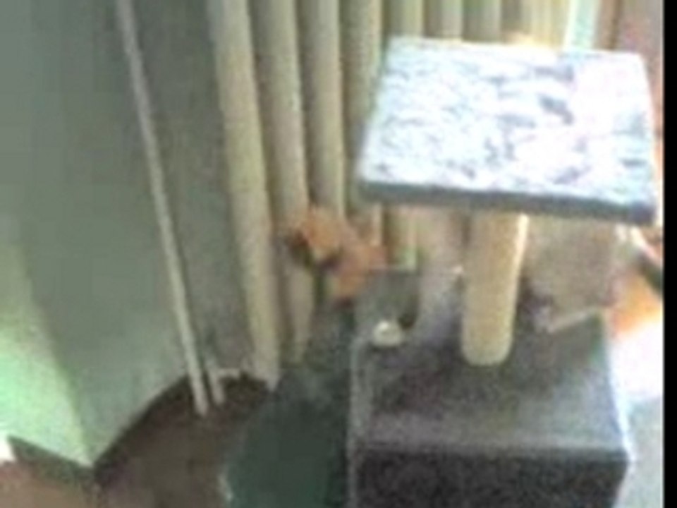 Video-0022