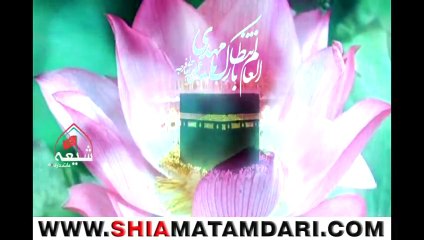 Yeh Bat Maan Lijiay Mir Hassan Mir Manqabat 2014 ShiaMatamdari.com