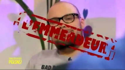 De la viande de chat dans les kebabs ?