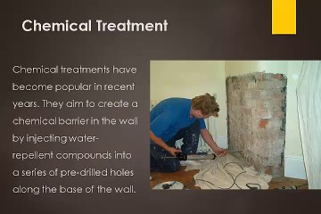 Rising Damp Problems Around Sydney