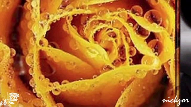 Yıldırım Gürses - Bir Şarkı Yapsam Sana