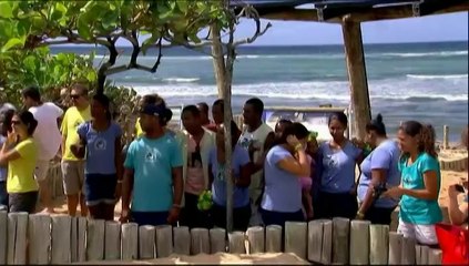 Mondial : le Brésil mise sur la tortue Big Head pour faire ses pronostics