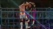 Bret Hart vs Shawn Michaels - Cage Match
