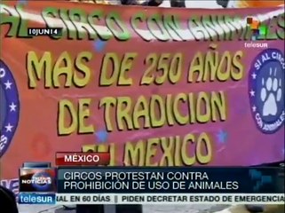 Cirqueros protestan en México por prohibición a uso de animales