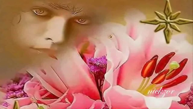 Bora Ayanoğlu - Sakın Ha