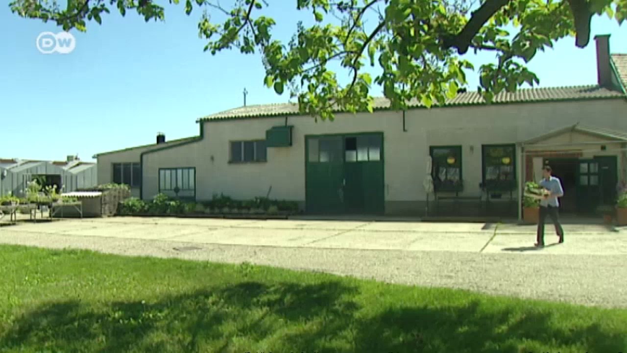 Leber mit Wurzelgemüse | Euromaxx a la carte