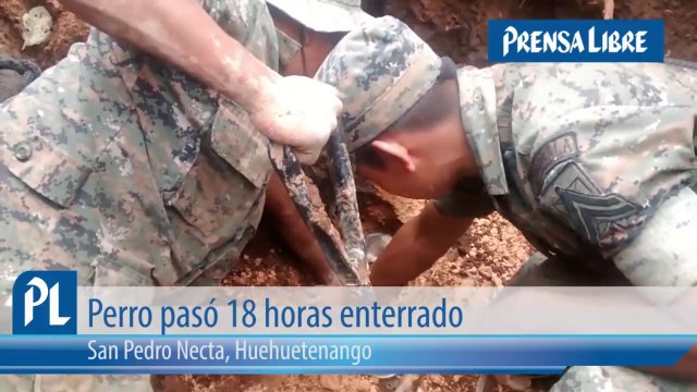 Dog burried alive afer giant mud wave, rescued and Found 18h after the flood!