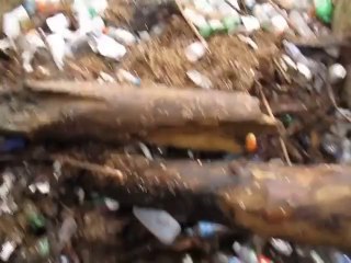 Water Wheel operating in a rain storm (Baltimore, MD)