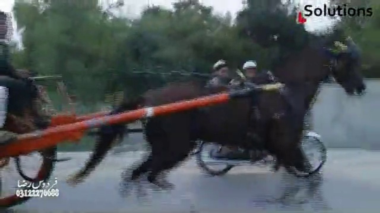 ahmed shah horse jigar jumma try 6-6-14