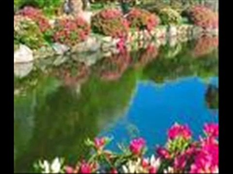 Abdurrahman Önül - cürmüm ile geldim sana