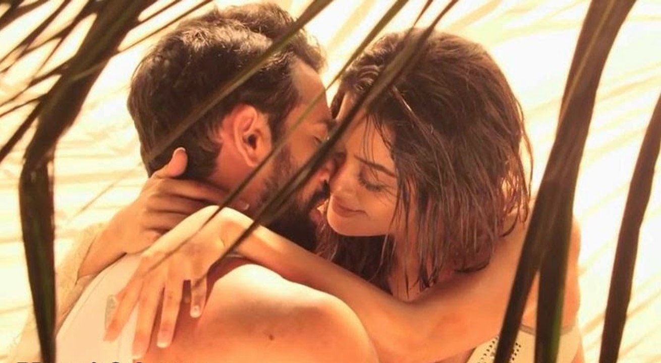 Hate Story 2 | Surveen Chawla H0rny Song