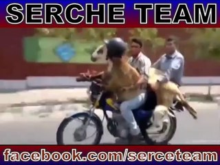 Kafa Nereye Biz Oraya