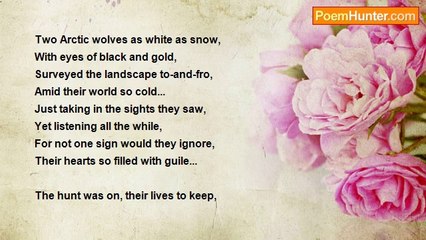 Denis Martindale - Arctic Spirits