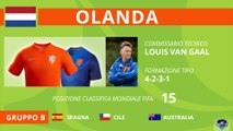 Mondiali 2014 - Focus Olanda