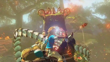 Zelda Wii U Gameplay Footage (High Quality - HD) E3 2014